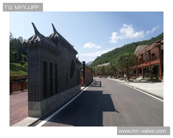 实时新闻深度对话杨伟如何在和平精英中找到人生的意义与乐趣